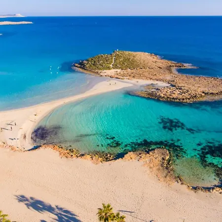 فيلة Constantinos