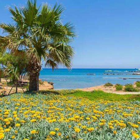 Constantinos וילה